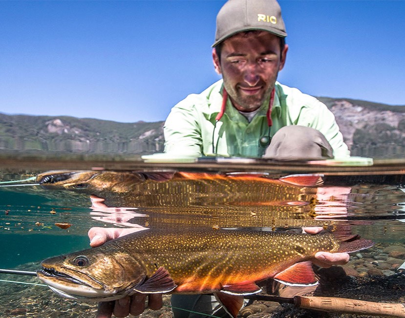 patagonia fishing guides patagonia fly fishing book patagonia fly fishing packages patagonia flyfish patagonia fish patagonia fishing patagonia fly fishing patagonia fly fishing company patagonia fly fishing guides patagonia trout patagonia brook trout patagonia fishing trip patagonia rainbow trout rainbow trout patagonia fly fish patagonia brown trout patagonia patagonia brown trout patagonia fly fishing trips fish patagonia